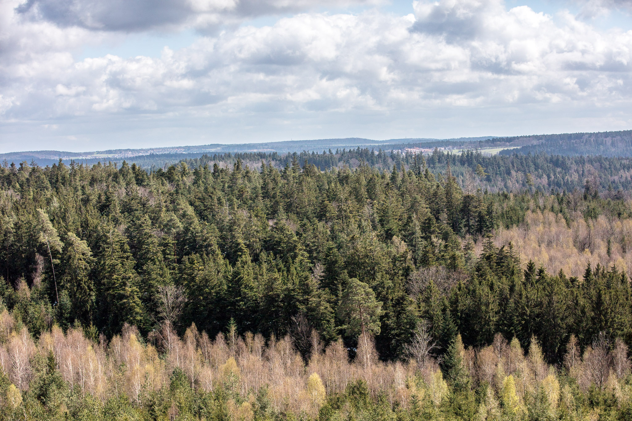 20220409145235 DP013970